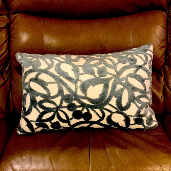 Other - Decorator pillow from The Bay
